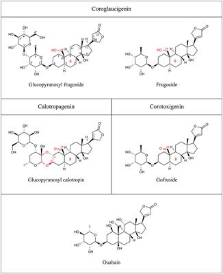 Differential accumulation of cardenolides from Asclepias curassavica by large milkweed bugs does not correspond to availability in seeds or biological activity on the bug Na+/K+-ATPase